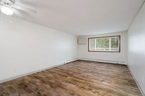 Coon Rapids apartment for rent - an empty living room with wood flooring and a window