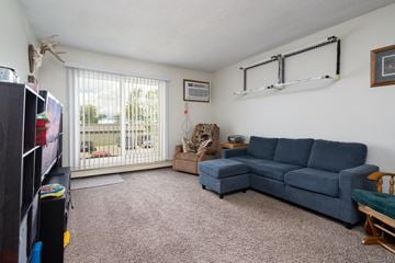 Forest Lake apartment for rent - a living room with a blue couch and a tv