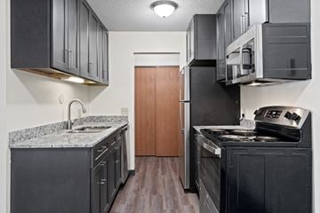 Mankato apartment for rent - a kitchen with black cabinets and a stove and a refrigerator