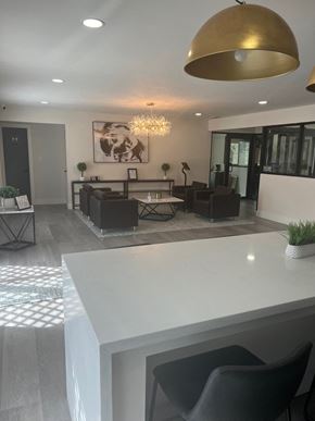 Harlingen apartment for rent - A modern living room with a white kitchen island and dark grey chairs.