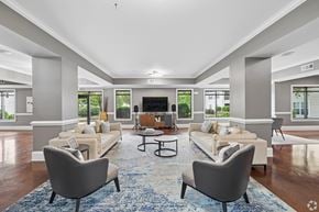 Knoxville apartment for rent - A living room with a grey sofa, a grey armchair and a blue rug.