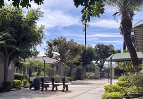 Garden Grove apartment for rent - A sunny day at the park with benches and trees.