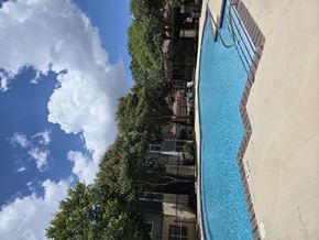 San Antonio apartment for rent - A swimming pool surrounded by trees and a cloudy sky.