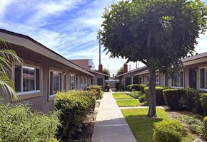 Garden Grove apartment for rent - A tree in a grassy area in front of apartment buildings.