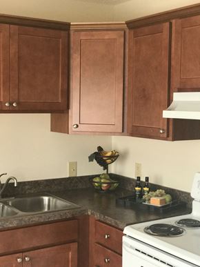 Waterville apartment for rent - Riverview kitchen