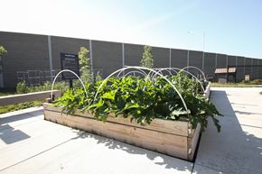 Fishers apartment for rent - a raised garden in front of a building at SouthPointe Village Apartments, LP, Indiana, 46038