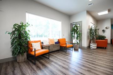 Fishers apartment for rent - a living room with a couch and two potted plants