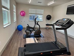 Montrose apartment for rent - A gym with treadmills, elliptical machines, and exercise balls.