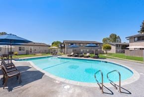 Mission Viejo apartment for rent - A swimming pool surrounded by a metal fence and a few chairs.