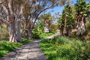 Mission Viejo apartment for rent - A pathway surrounded by trees and greenery.