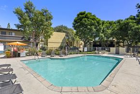 Rancho Cucamonga apartment for rent - A large swimming pool surrounded by lounge chairs and trees.