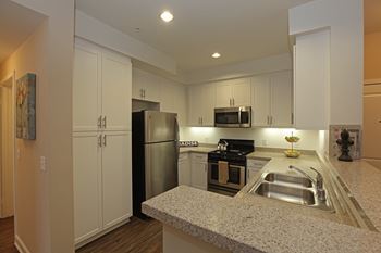 Granite countertops & designer fixtures