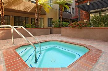 Swimming pool and spa
