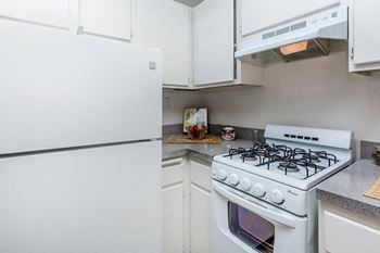 Gas stove