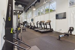 Los Angeles apartment for rent - A gym with treadmills, weights, and exercise equipment.