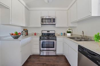 Stainless steel appliances*
