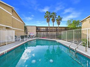 Northridge apartment for rent - A pool surrounded by a metal fence and palm trees.