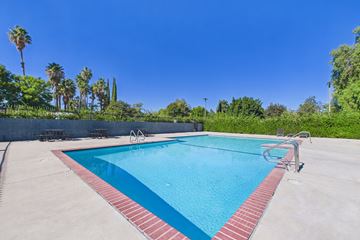 Canoga Park apartment for rent - A swimming pool surrounded by palm trees and a clear blue sky.