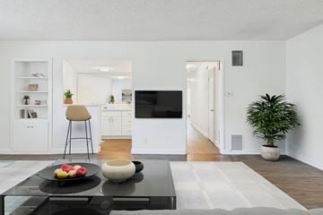 Studio City apartment for rent - A modern living room with a black coffee table and a flat screen TV.