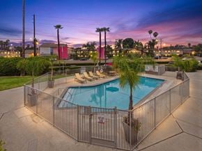Van Nuys apartment for rent - A pool surrounded by a fence with a sun lounger and palm tree.