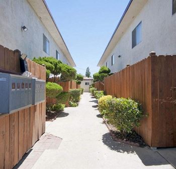 Walkway, wood fence of the patios, mail boxes on the left