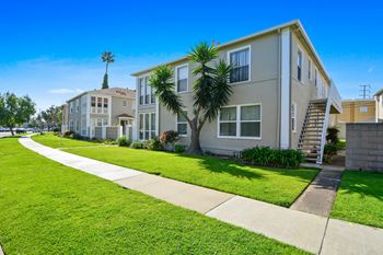 Building entrance with palm tree
