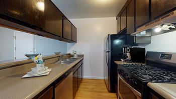 Gas stove