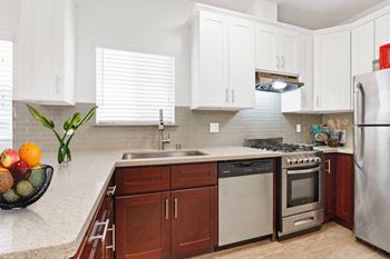 Stainless steel appliances*