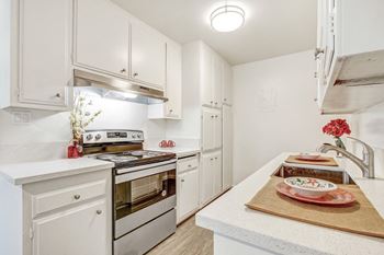 Stainless steel appliances*