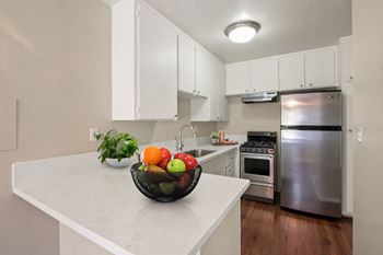 Stainless steel appliances*