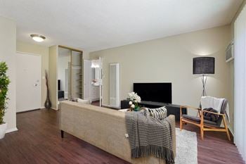 Wood plank floors*