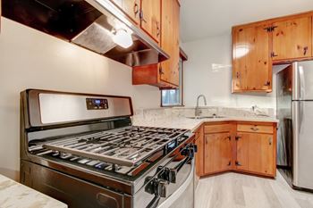 Gas range