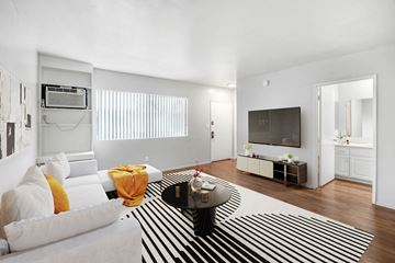 Van Nuys apartment for rent - A living room with a white couch and a black and white striped rug.