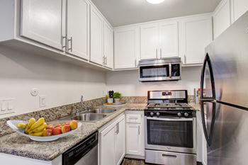 Stainless steel appliances*