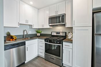 Stainless steel appliances*