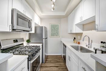 Stainless steel appliances*