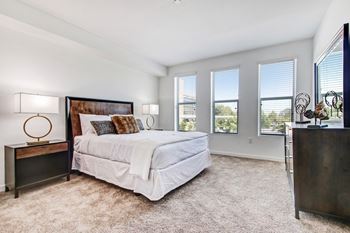 Plush carpet in bedrooms and closets