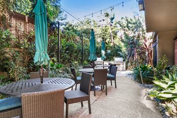 Garden oasis lounge with bbq