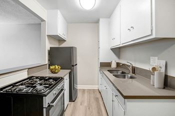 Stainless steel appliances*