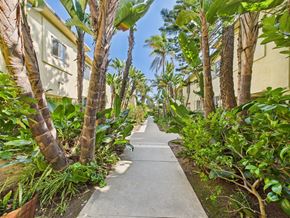 Santa Monica apartment for rent - A pathway is lined with palm trees and shrubbery.