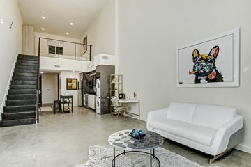 North Hollywood apartment for rent - A living room with a white couch, a coffee table, and a painting of a dog.