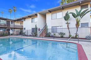North Hollywood apartment for rent - A pool in front of a building with a fence and a palm tree.