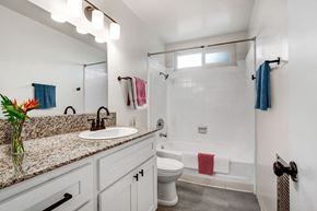 Los Angeles apartment for rent - a bathroom with a sink and a toilet