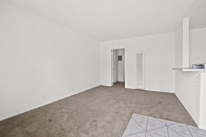 Westminster apartment for rent - an empty living room with white walls and carpet and a white door