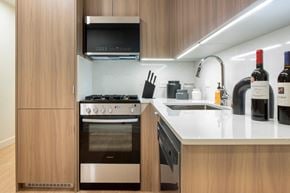 Los Angeles apartment for rent - a kitchen with a stove and a sink at The Aster, Los Angeles, California
