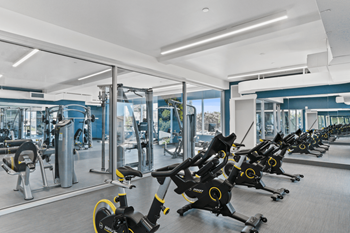 Spin studio