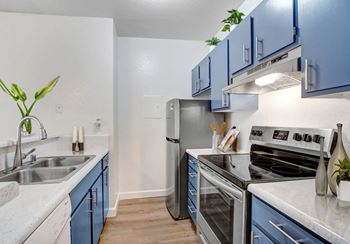 Stainless steel appliances*