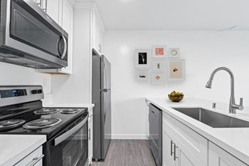 Stainless steel appliances*