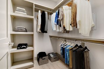 Designer walk-in closets