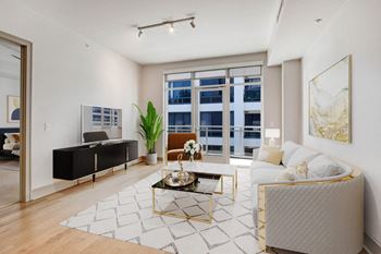 Wood flooring and berber carpet